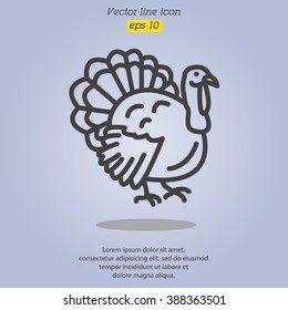 Web line icon. Turkey