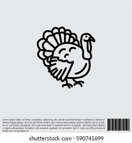 Web line icon. Turkey