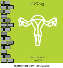 Web line icon. Uterus.