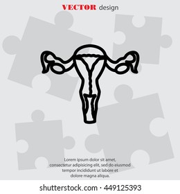 Web line icon. Uterus.