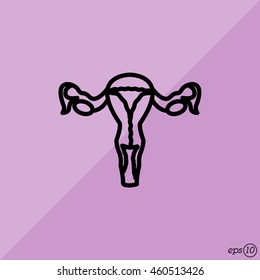 Web line icon. Uterus.