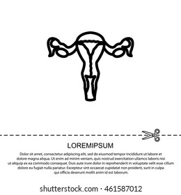 Web line icon. Uterus.