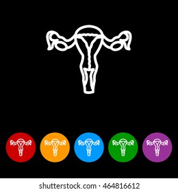 Web line icon. Uterus.