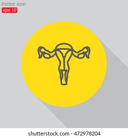 Web line icon. Uterus.
