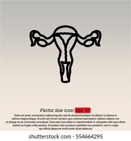 Web line icon. Uterus.