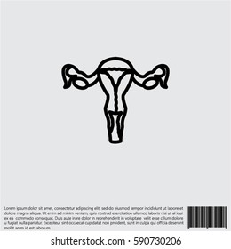 Web line icon. Uterus.