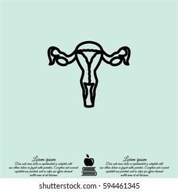 Web line icon. Uterus.