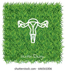 Web line icon. Uterus.