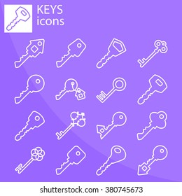 Web line set. Keys icon