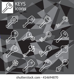 Web line set. Keys icon