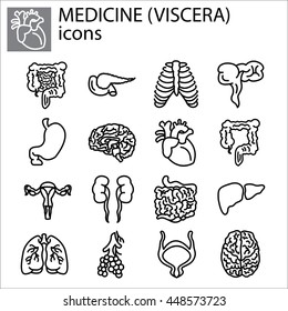 Web line set. Medicine, viscera