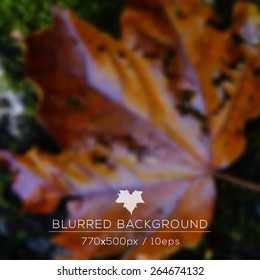 Web and mobile interface background. Corporate website design. Nature backdrop. Vector. Unfocused. Leaf background. Blurred wallpaper.  Eco design.