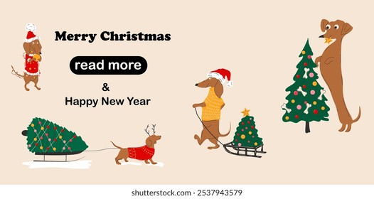 Web page design template. Dachshunds dogs pulls a Christmas tree on a sleigh and decorate Christmas trees. 