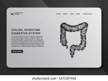 Web page design templates collection of colon, intestine, digestive system, Human Anatomy. Abstract Wireframe from dot and lines design