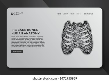 Web page design templates collection of Thorax- ribs, sternum, clavicle, scapula, vertebral column. Detailed medical illustration