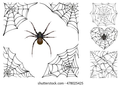 Web and poisonous spider. Set Halloween accessory. Isolated on white vector illustration