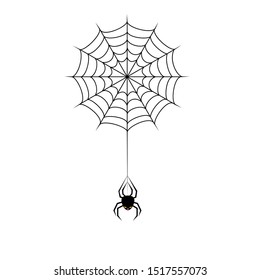 Web and spider. A spider descending from its web.