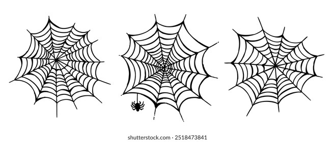 Web and the spider hand drawn illustration	