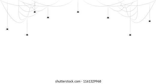 A web with a spider. Vector illustration.