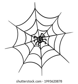 Web with a spider. Vector illustration for Halloween in the style of line art. Isolated on a white background. Simple image freehand drawing.