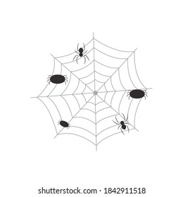 web with spiders over white background, flat style, vector illustration