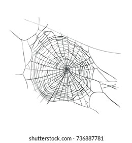 Web Spiderweb Weaving Vector Illustration.