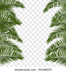 Web summer banner. Green palm leaves template isolated on transparent background. Summer vector abstract illustration. Realistic picture tropical Paradise for travel and ticket sales.