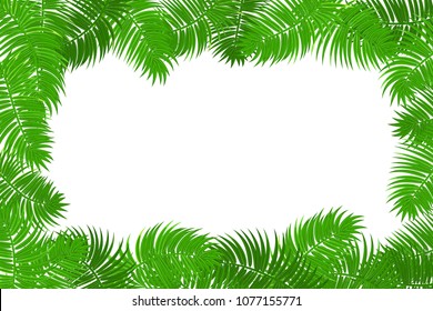 Web summer jungle frame banner. Green palm leaves template isolated white background. Vector abstract illustration. Realistic picture summer tropical Paradise mock up.
