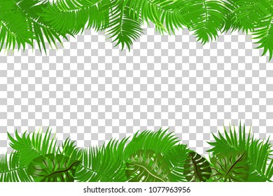 Web summer jungle frame banner. Green palm leaves template isolated transparent background. Vector abstract illustration. Realistic picture summer tropical Paradise mock up.