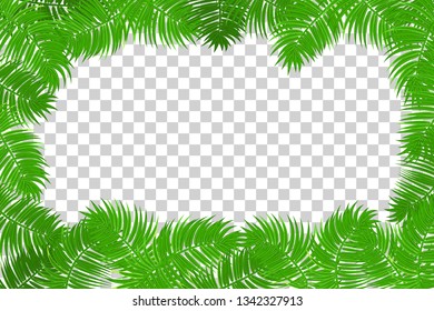Web summer jungle frame banner. Green palm leaves template isolated transparent background. Vector abstract illustration. Realistic picture summer tropical Paradise mock up.