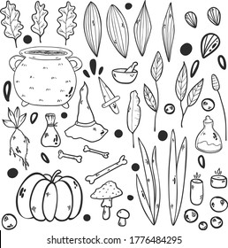 Web Vector holiday doodle Halloween isolated set illustration. 31 October. Magic set. Candles, bones, boiler, pot, pumpkin, feather, cauldron, witch hat, dagger, leaves, mushrooms on white background.