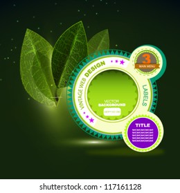 web wheel design. vector illustration