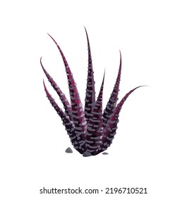 Weberi, maguey liso, Weber agave plant isolated purple cactus icon. Vector marginata succulent, century plant american aloe vera botanical herb with spikes, exotic flower tequila drink ingredient