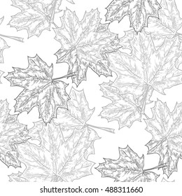 WebMaple autumn leaf fall hand drawn sketch seamless vector pattern. For templates, web, design, invitations, banners. White background.