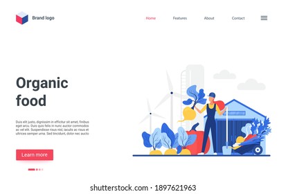 Website creative design, landing page with cartoon growing harvest vegetables on village farm field, farmer character harvesting for sale in agricultural market. Organic eco food vector illustration
