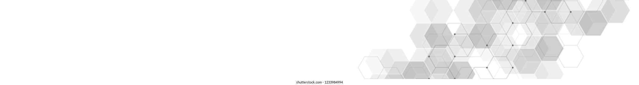 Website header or banner design with geometric abstract background of hexagons pattern. Vector illustration with hexagonal texture and space for your text