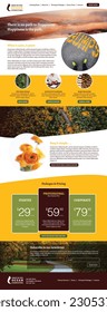Diseño de página principal del sitio web para Consultoría Empresa utilizando los módulos del complemento DIVI de wordpress como ideas