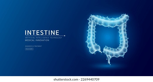 Website template. Human intestine anatomy translucent low poly triangles. Futuristic glowing organ hologram on dark blue background. Medical innovation diagnosis treatment concept. Banner vector.