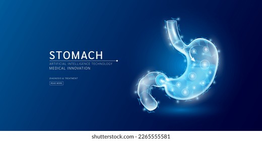 Website template. Human stomach anatomy translucent low poly triangles. Futuristic glowing organ hologram on dark blue background. Medical innovation diagnosis treatment concept. Banner vector.