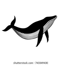 Wector illustration with whale.