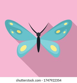 Wedding butterfly icon. Flat illustration of wedding butterfly vector icon for web design