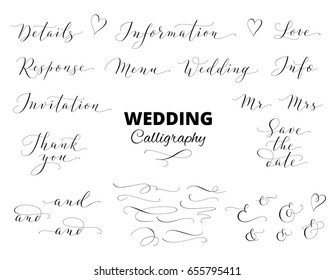 Wedding calligraphy isolated on white. Save the date, love, information, response, details, thank you, menu words. Ampersands and catchwords. Great for wedding invitations, cards, photo overlays. 