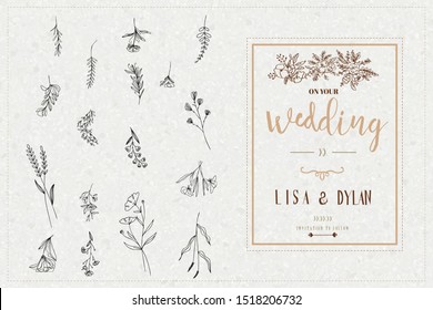 Wedding card, collection forest fern eucalyptus  art foliage natural leaves herbs in line style. Decorative beauty elegant illustration for design Vector flower