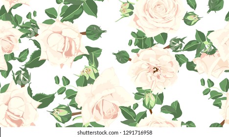 Wedding Card Design, Floral Pattern, Vector Rose in Pastel Colors. Vintage Flowers in Watercolor Style. Seamless Roses Background for Card, Invitation, Fabric. Spring or Summer Bouquet, Post Card.