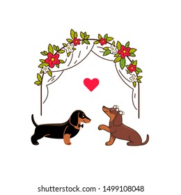 Wedding celebration. Cute dachshund and floral arch. Cartoon vector illustration for nursery, kids apparel, poster, postcard, pattern.