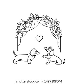 Wedding celebration. Cute dachshund and  floral arch. Coloring book for kids.