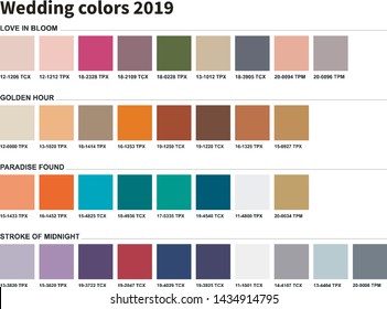 Wedding colors 2019. An example of a color palette. Forecast of the future color trend. Forecast of the future color trend. Wedding dressing for the bride. Trendy colors of the season.