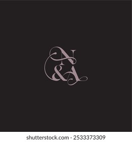 wedding concept monogram elegant and luxury concept NA bold serif initial calligraphy letter