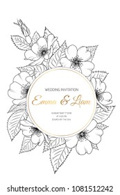 Wedding event invitation card template. Wreath ring circle border frame with wild rose rosa canina cherry sakura blooming flowers. Black white line design. Shiny golden title text placeholder.