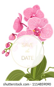 Wedding event invitation save the date card template. Pink purple orchid phalaenopsis flower plant with green leaves roots isolated on white background. Round ring circle. Vector design illustration.